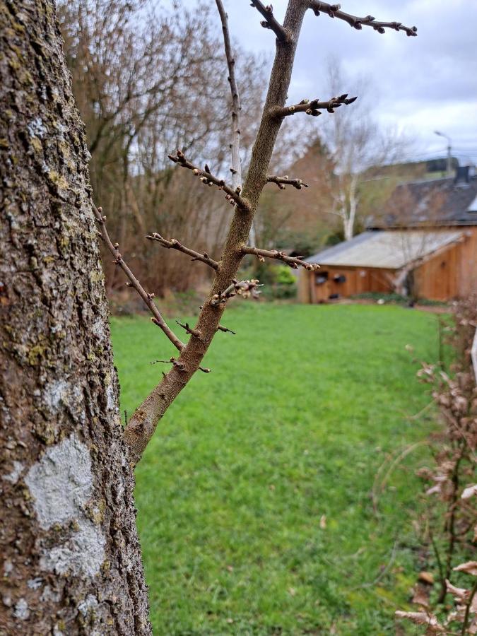 La Ptit Marie Villa Houffalize Bagian luar foto